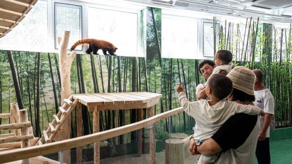 星富优配 多元体验引客来！暑期哈尔滨旅游热度飙升