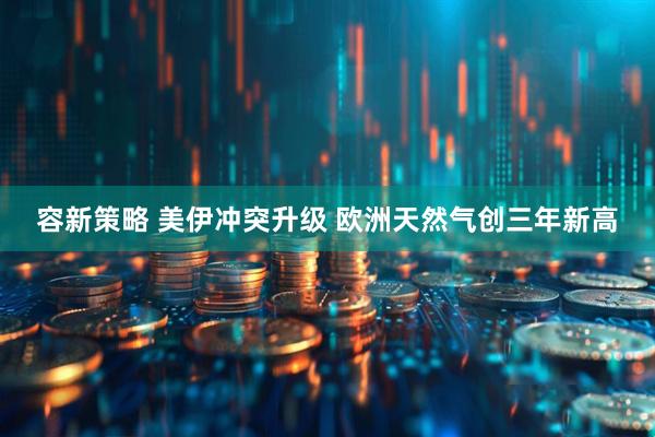 容新策略 美伊冲突升级 欧洲天然气创三年新高